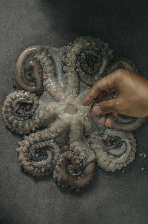 Octopus - 1 kg