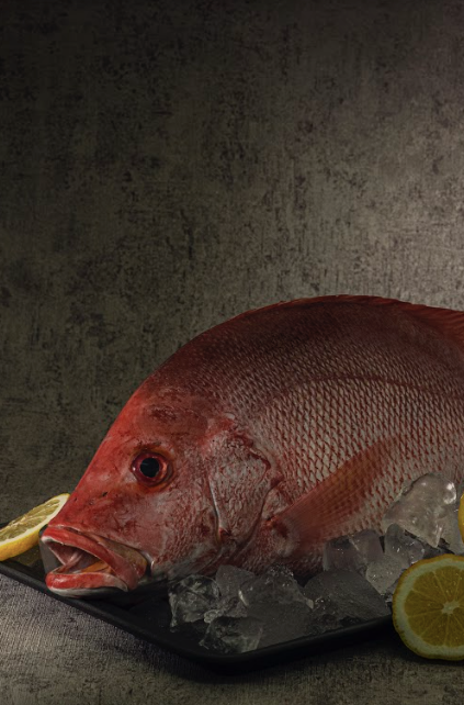 Red Snapper Whole - 2 kg